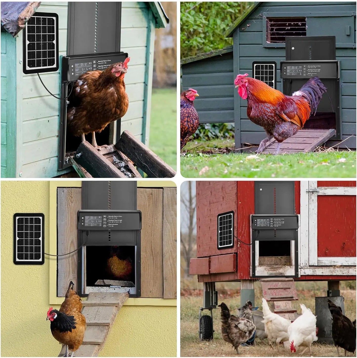Automatic Pet Cat Dog Door Powere Weather-Resistant Light Sensor and Timer Remote Control and LCD Screen Solar Auto Chicken Door
