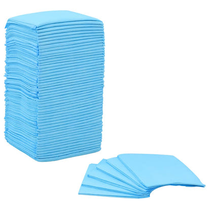 NNEVL Pet Training Pads 100 pcs 60x60 cm Non Woven Fabric