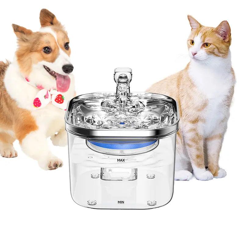 NPET Pet Hydration Fountain